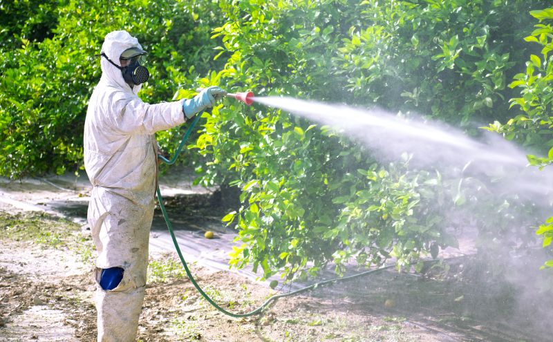 Roach Fumigation in Bellingham, WA